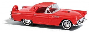Ford Thunderbird rot